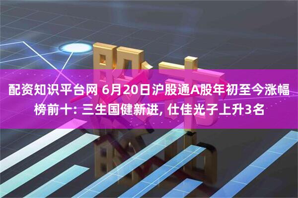 配资知识平台网 6月20日沪股通A股年初至今涨幅榜前十: 三生国健新进, 仕佳光子上升3名